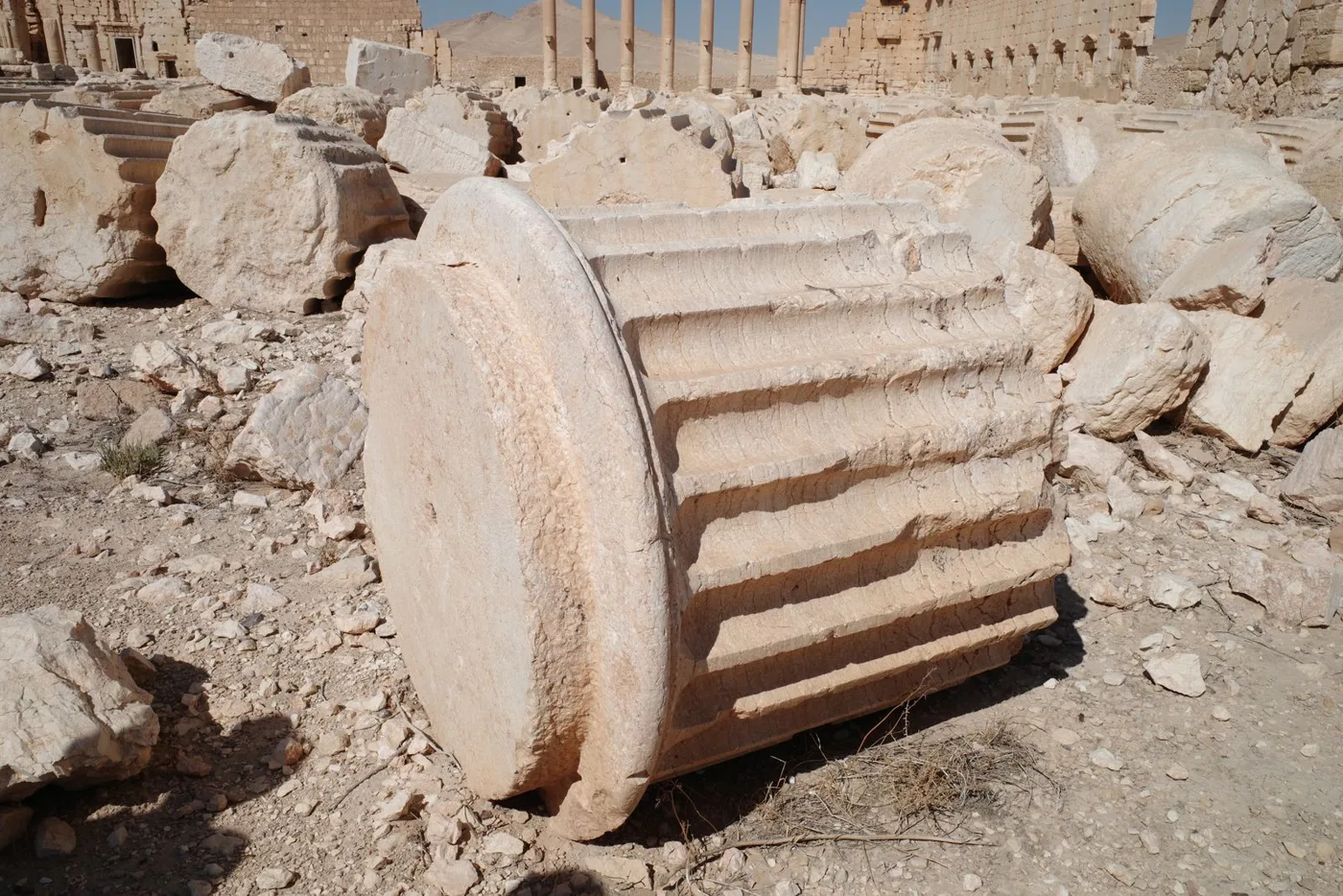 Palmyra Tadmur